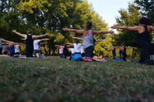 A group of people doing yoga in the park